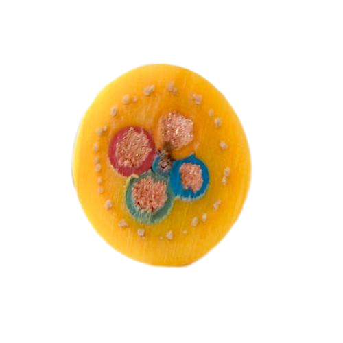 沙巴体育·(中国)官方网站 -APP下载