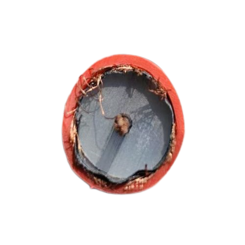 沙巴体育·(中国)官方网站 -APP下载