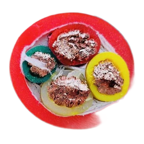 沙巴体育·(中国)官方网站 -APP下载