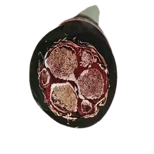 沙巴体育·(中国)官方网站 -APP下载