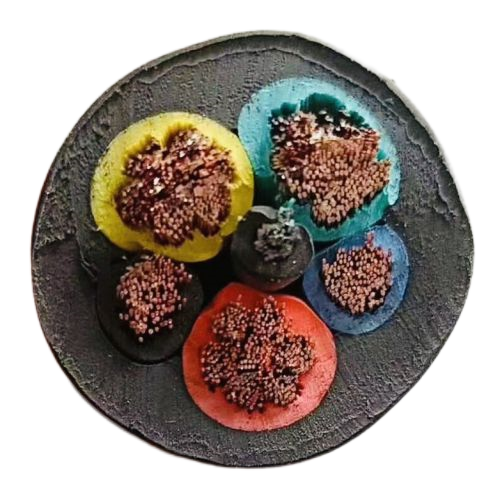 ɳ��������(�й�)�ٷ���վ -APP����