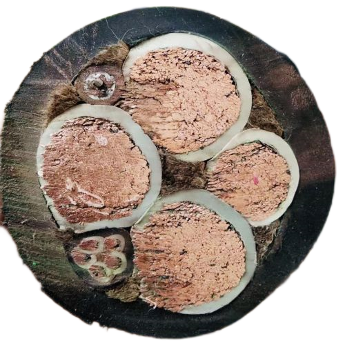 沙巴体育·(中国)官方网站 -APP下载