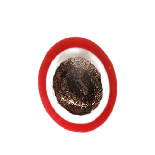 沙巴体育·(中国)官方网站 -APP下载