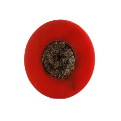 沙巴体育·(中国)官方网站 -APP下载